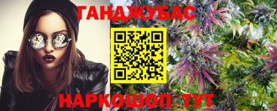 гидропоника Можайск