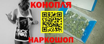 гидропоника Можайск